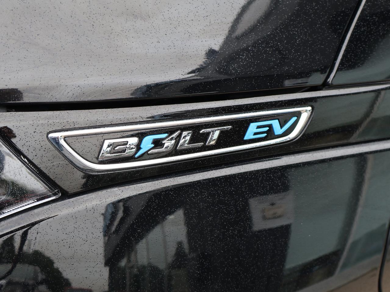 2019 Chevrolet Bolt EV LT CERTIFIED *ACCIDENT FREE* CAMERA BLUETOOTH HEATED SEATS CRUISE ALLOYS Photo