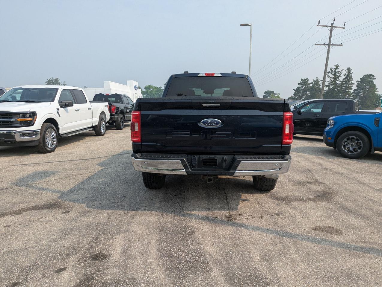 2021 Ford F-150 XLT 4WD SuperCrew 5.5' Box Photo4