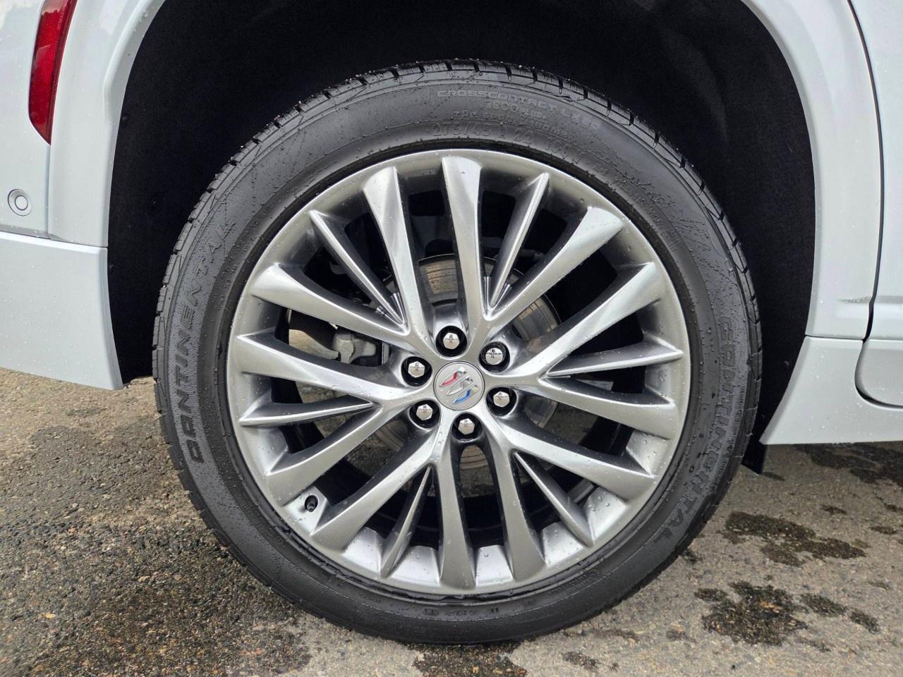 2026 Buick Enclave AWD 4dr Avenir Photo