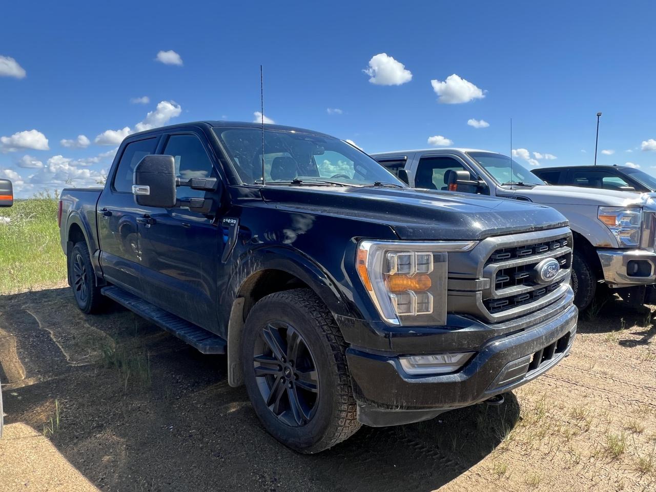 Used 2023 Ford F-150 XLT 5.0L V8 302A+ for sale in Carlyle, SK
