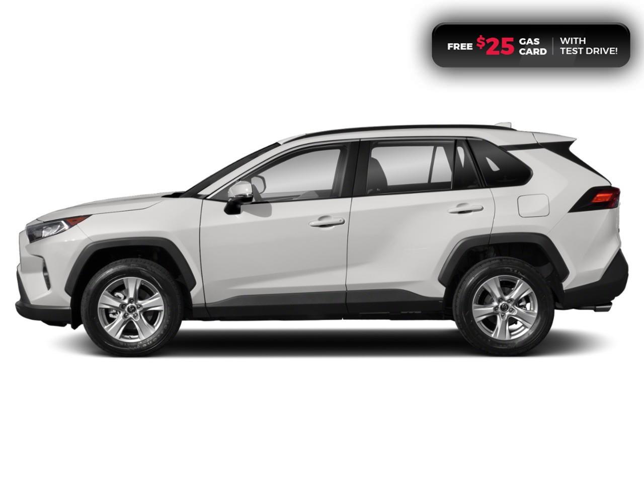 2019 Toyota RAV4 XLE Photo