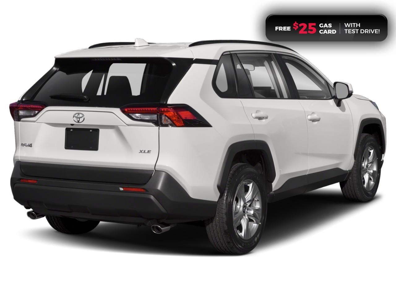 2019 Toyota RAV4 XLE Photo