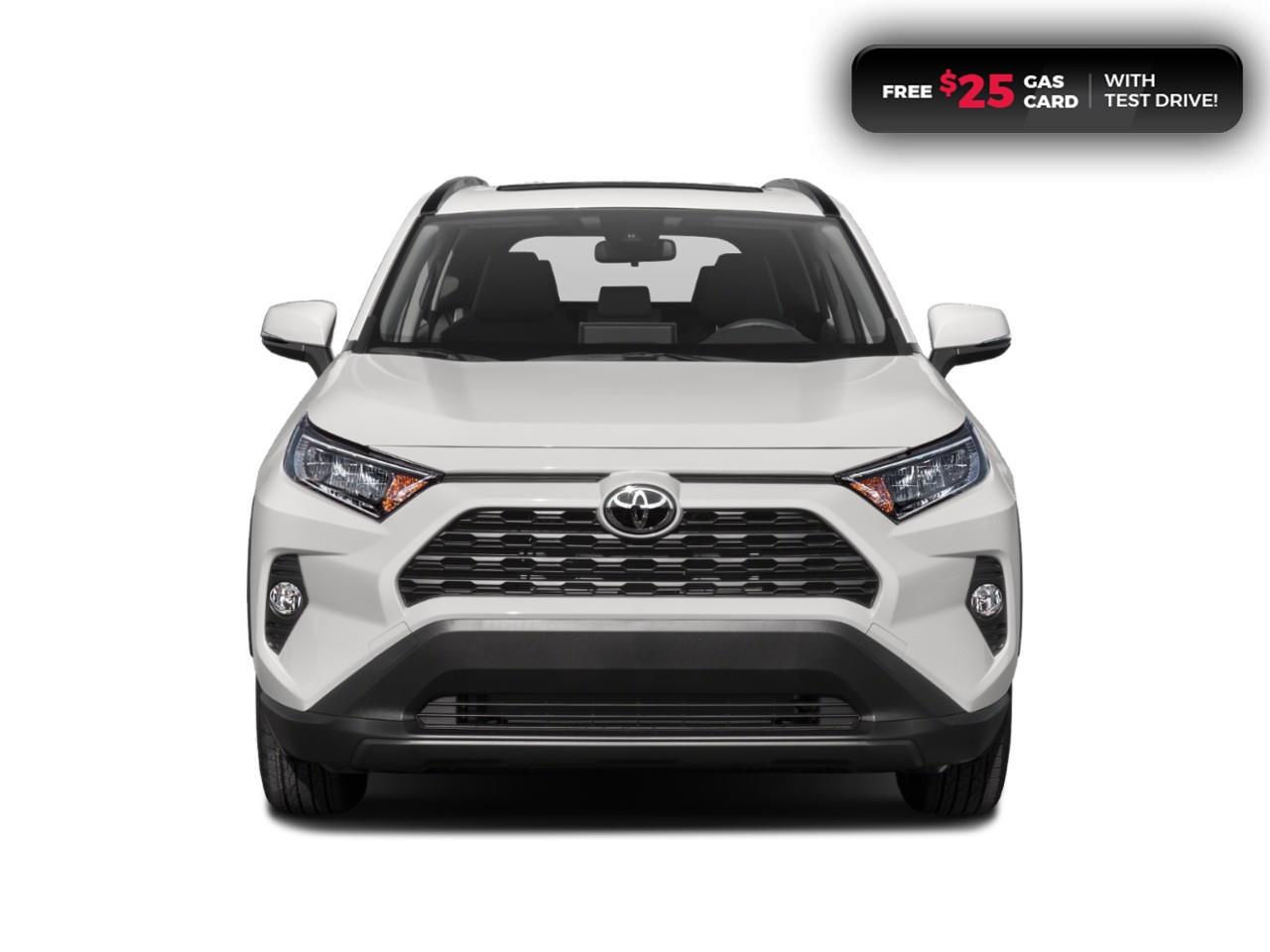 2019 Toyota RAV4 XLE Photo