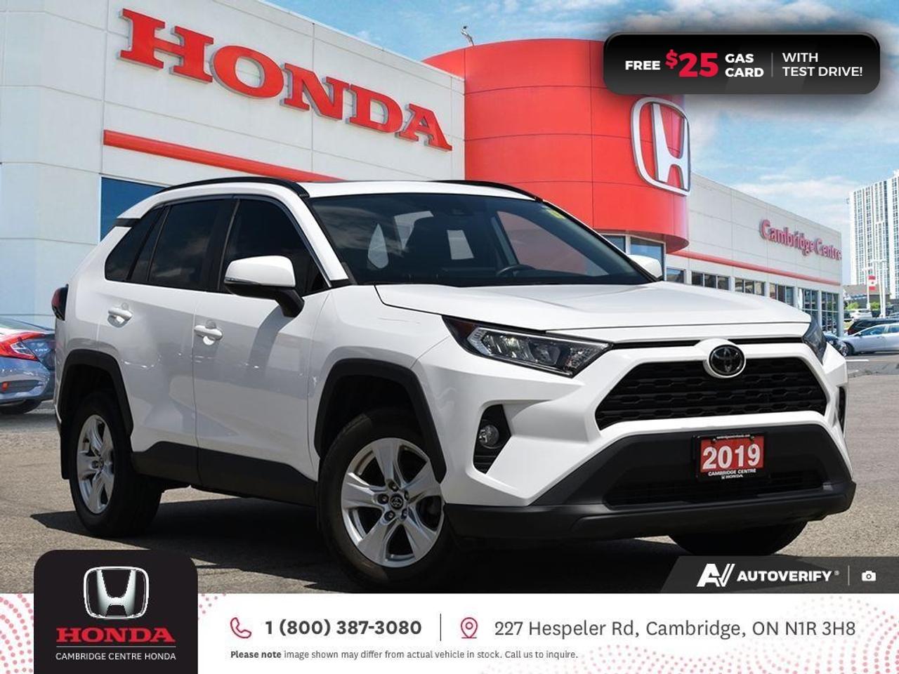 2019 Toyota RAV4 XLE Photo