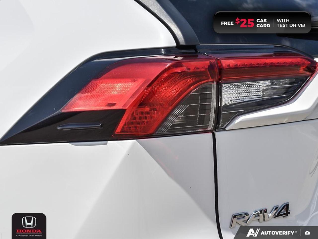 2019 Toyota RAV4 XLE Photo