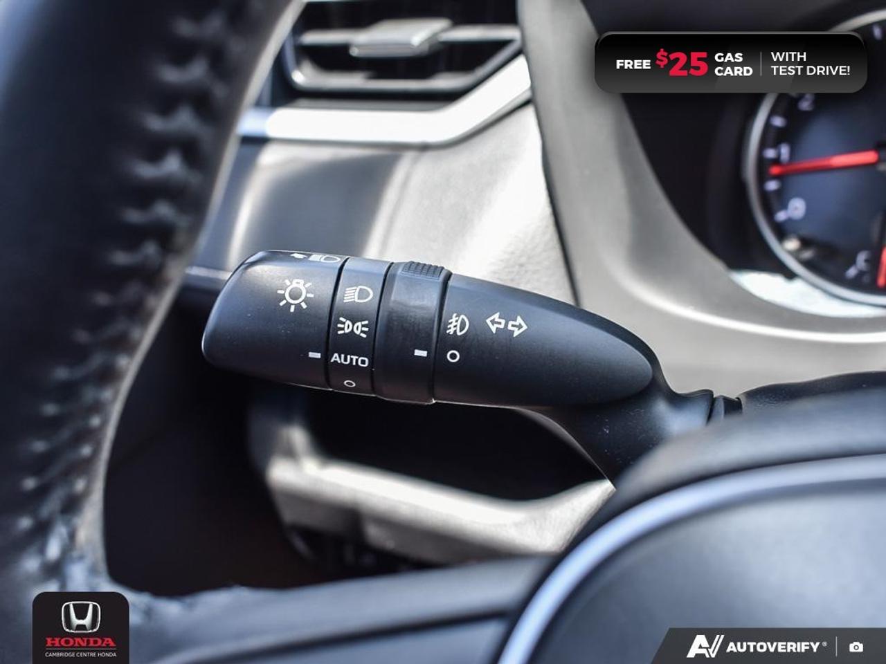 2019 Toyota RAV4 XLE Photo