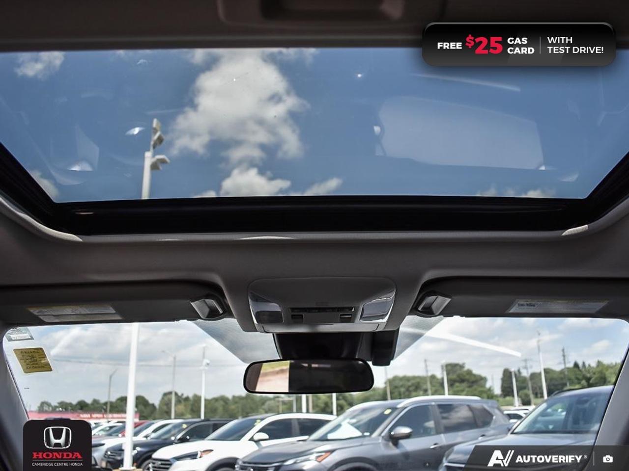2019 Toyota RAV4 XLE Photo