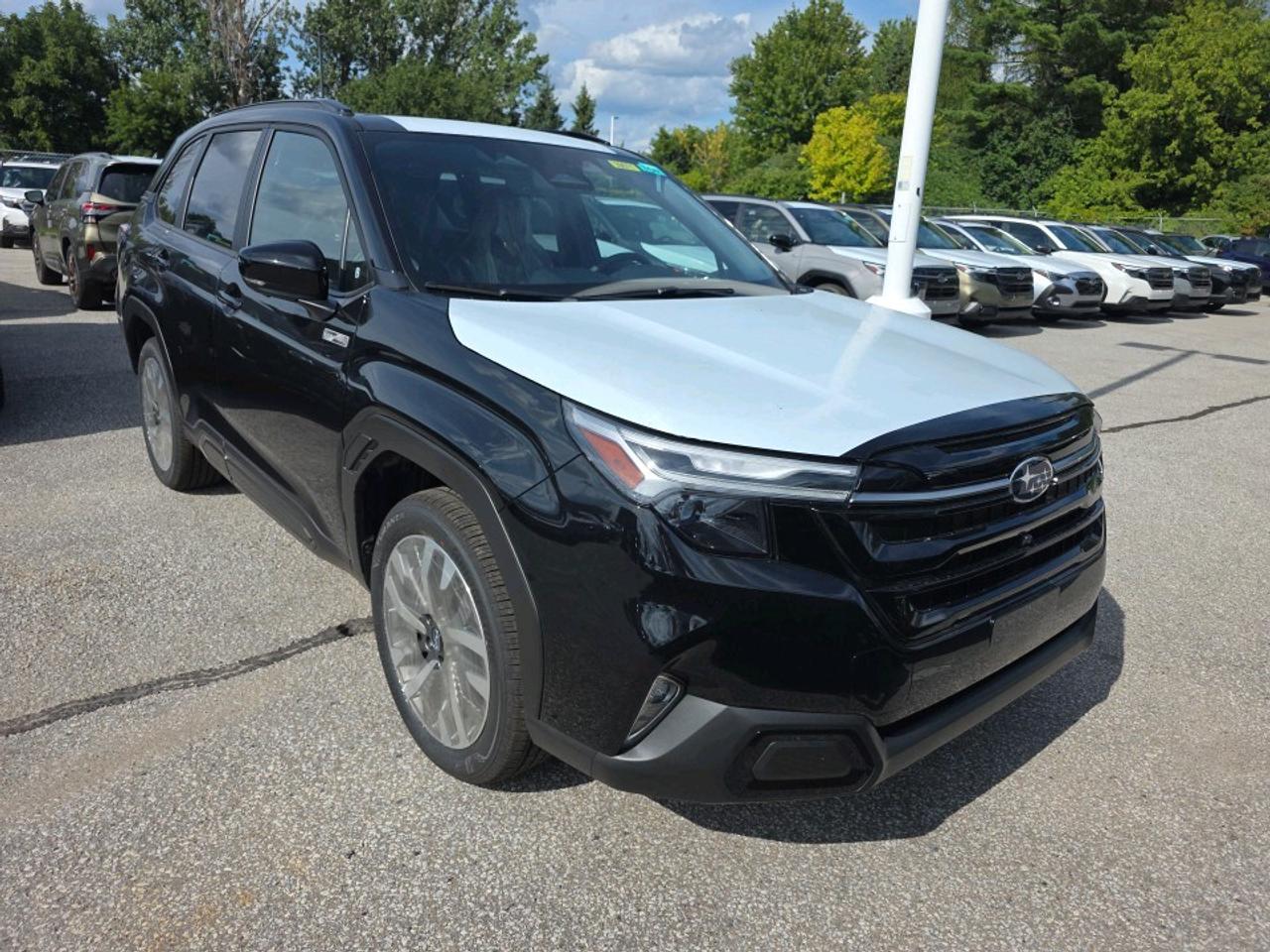 2026 Subaru Forester Premier Photo