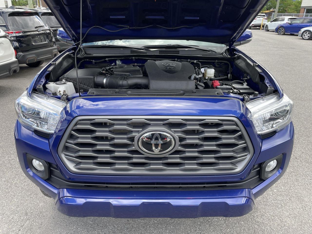 2023 Toyota Tacoma TRD Sport V6 RARE 6 SPD!!  PREMIUM PKG, LEATHER, R Photo