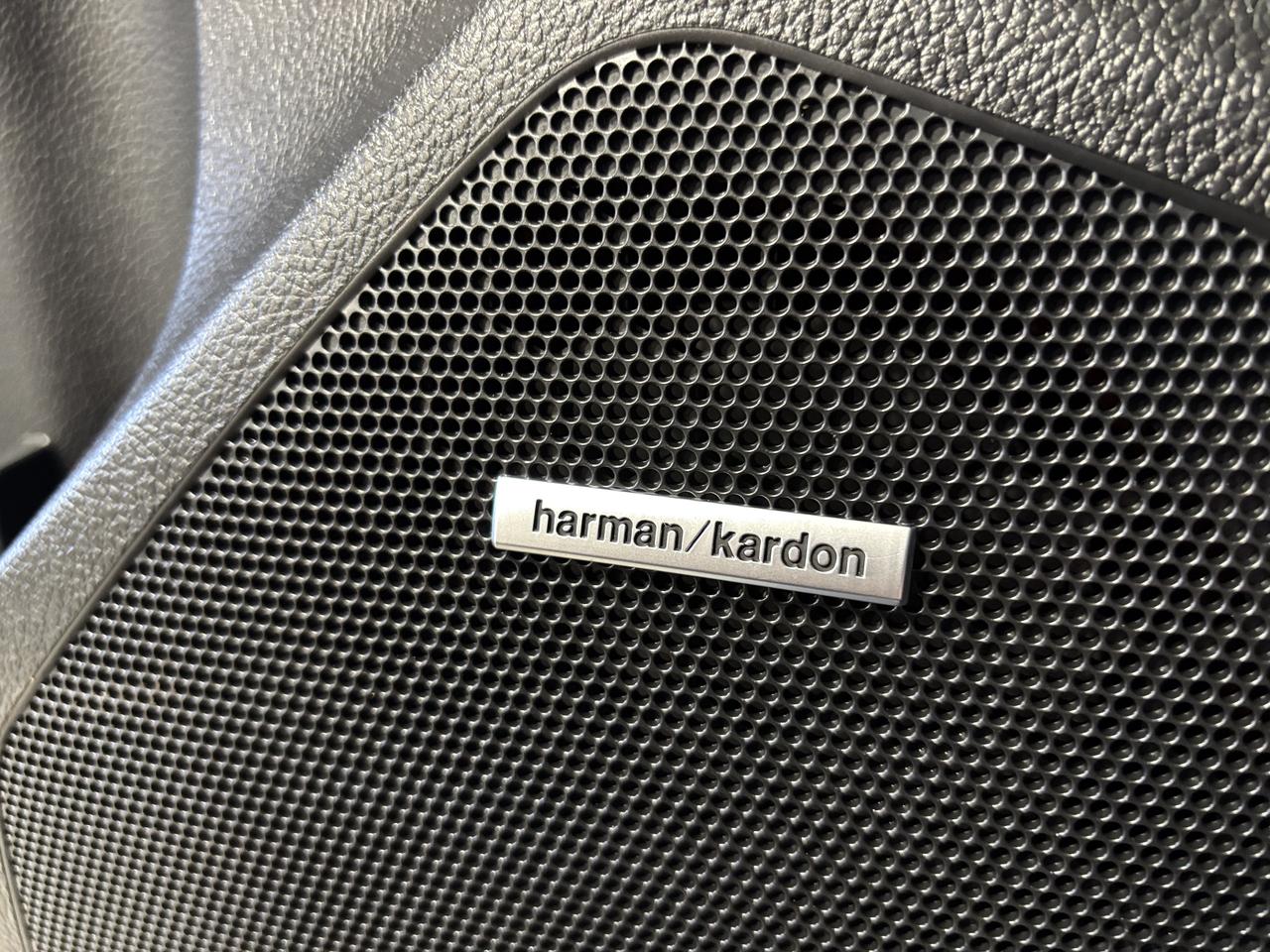 2020 Subaru WRX STI Limited|AWD|MANUAL|LIPSPOILER|NAV|HARMANKARDON Photo