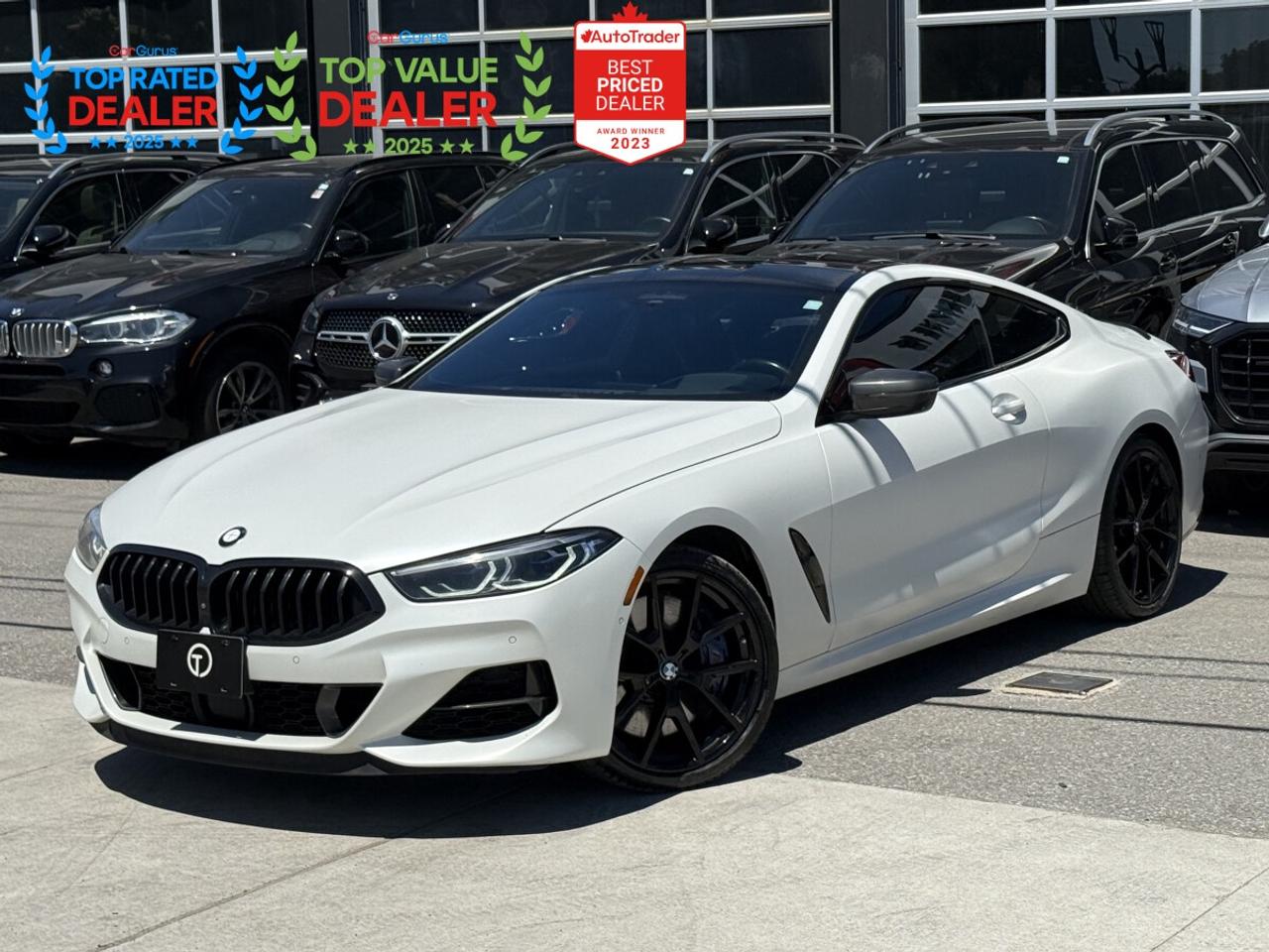 2019 BMW 8 Series CARBON | BOWERS & WILKINS | CRYSTAL | PREMIUM Photo