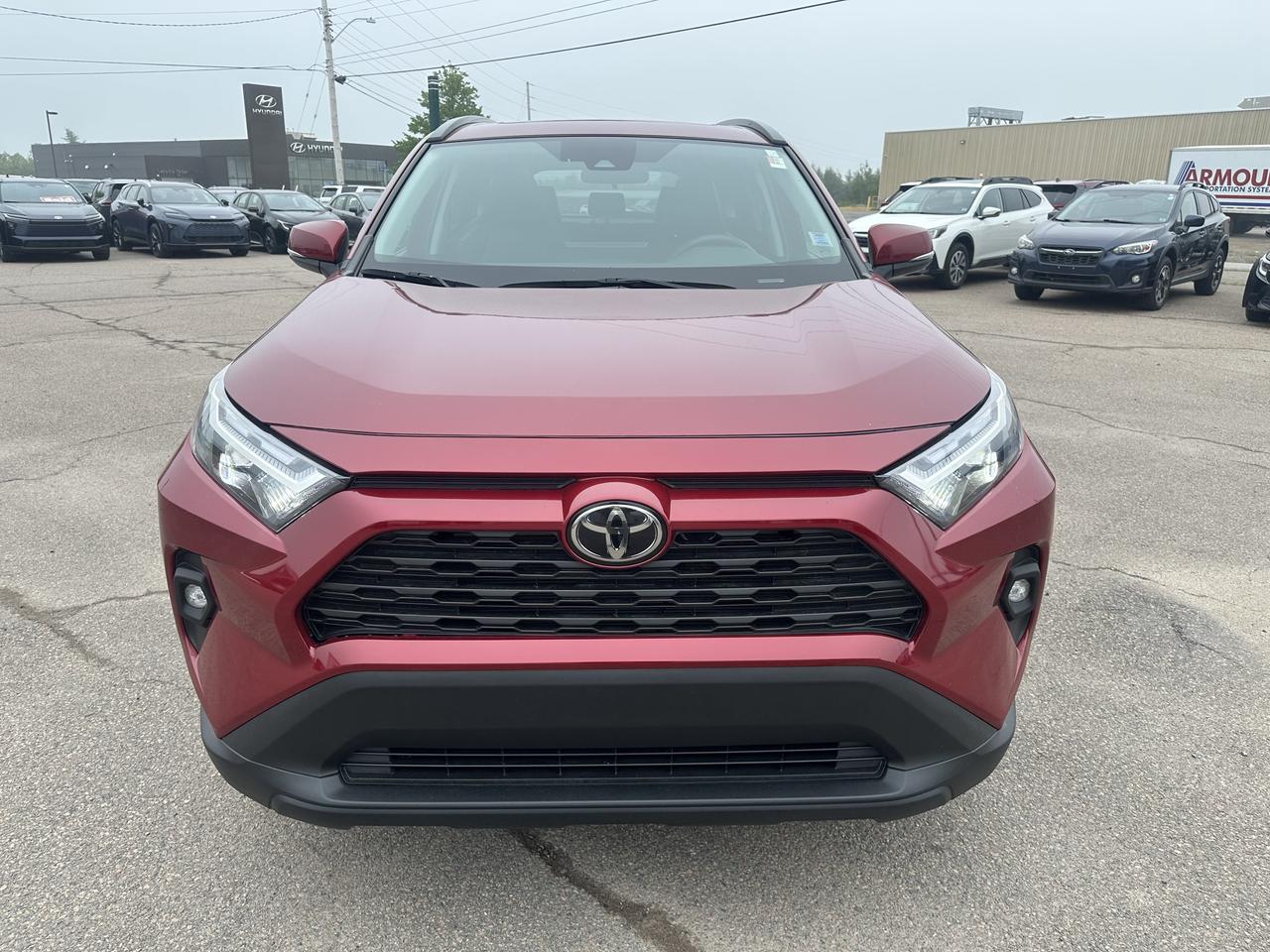 2023 Toyota RAV4 XLE AWD Premium Photo1