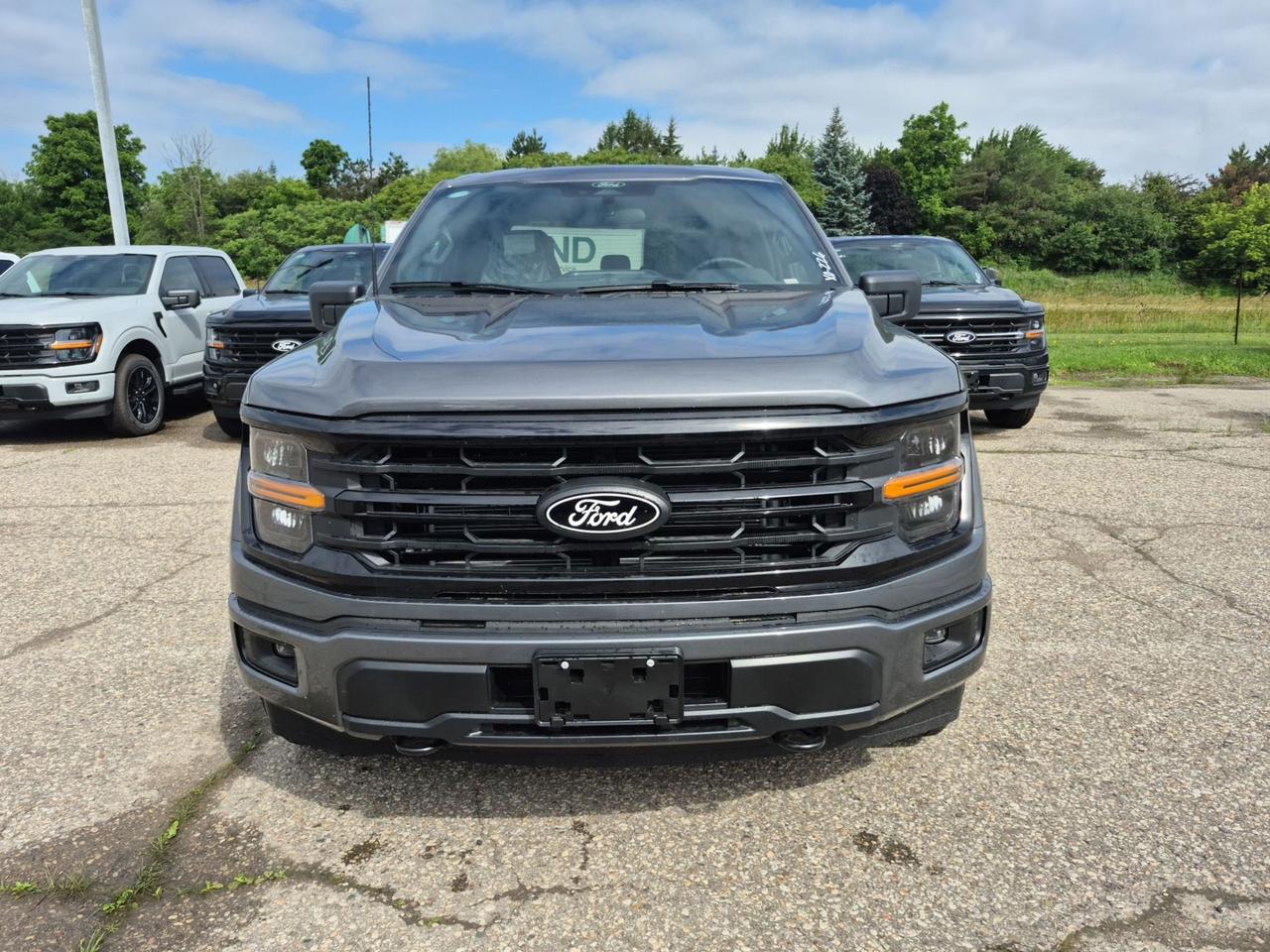 2026 Ford F-150 XLT 4WD, BLACK APPEARANCE PKG, SYNC4, BLIS Photo1