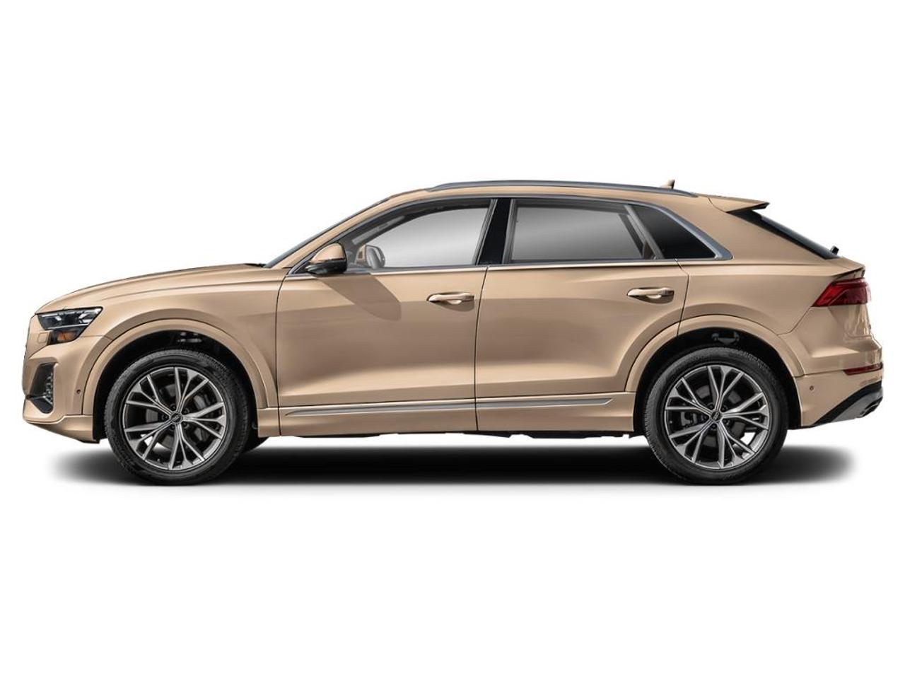 2026 Audi Q8 55 Progressiv 4dr All-Wheel Drive quattro Sport Utility Photo