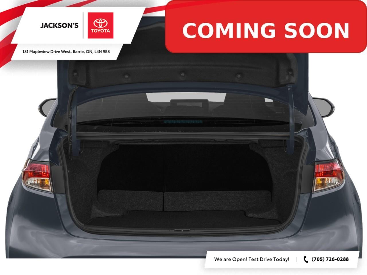 2026 Toyota Corolla  Photo