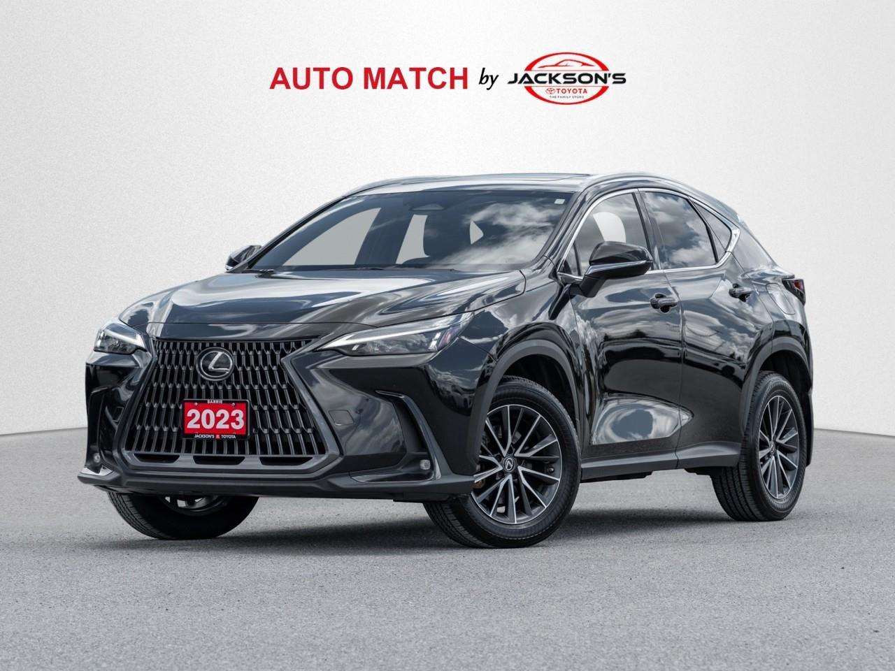 2023 Lexus NX 350h Base 4dr All-Wheel Drive Photo