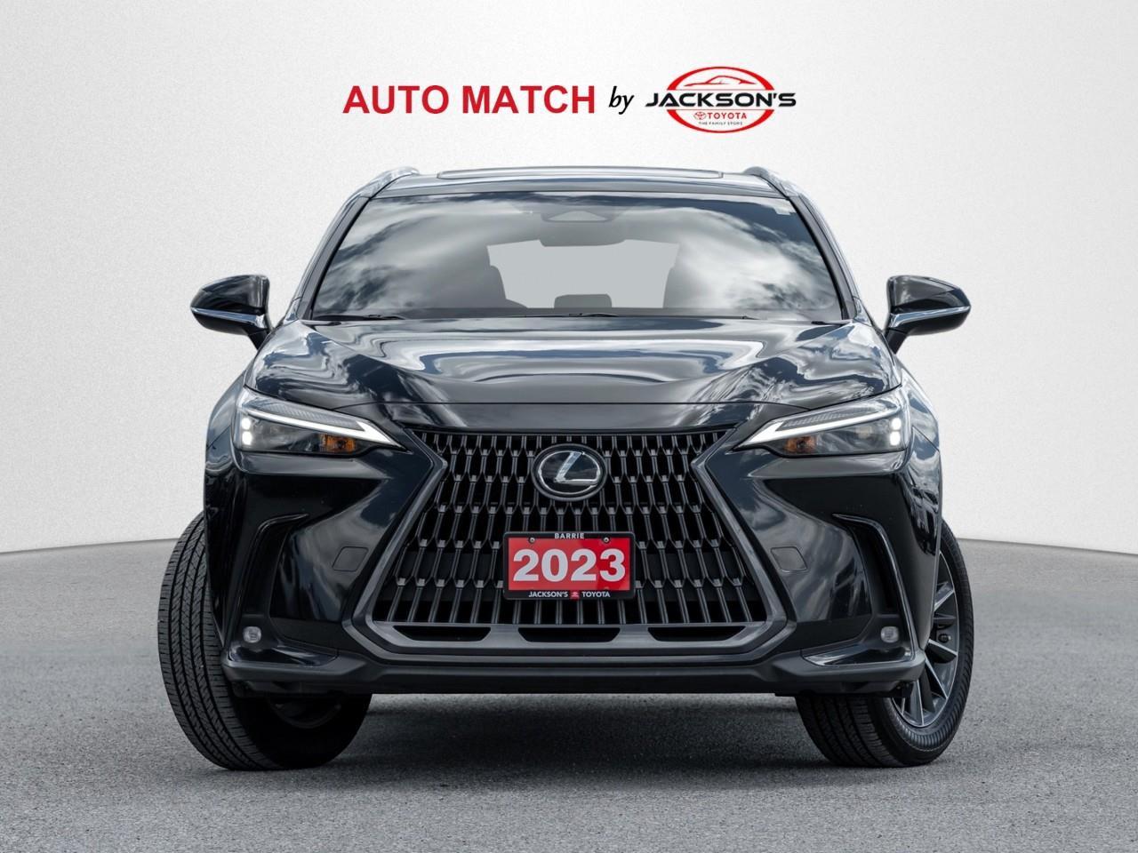 2023 Lexus NX 350h Base 4dr All-Wheel Drive Photo
