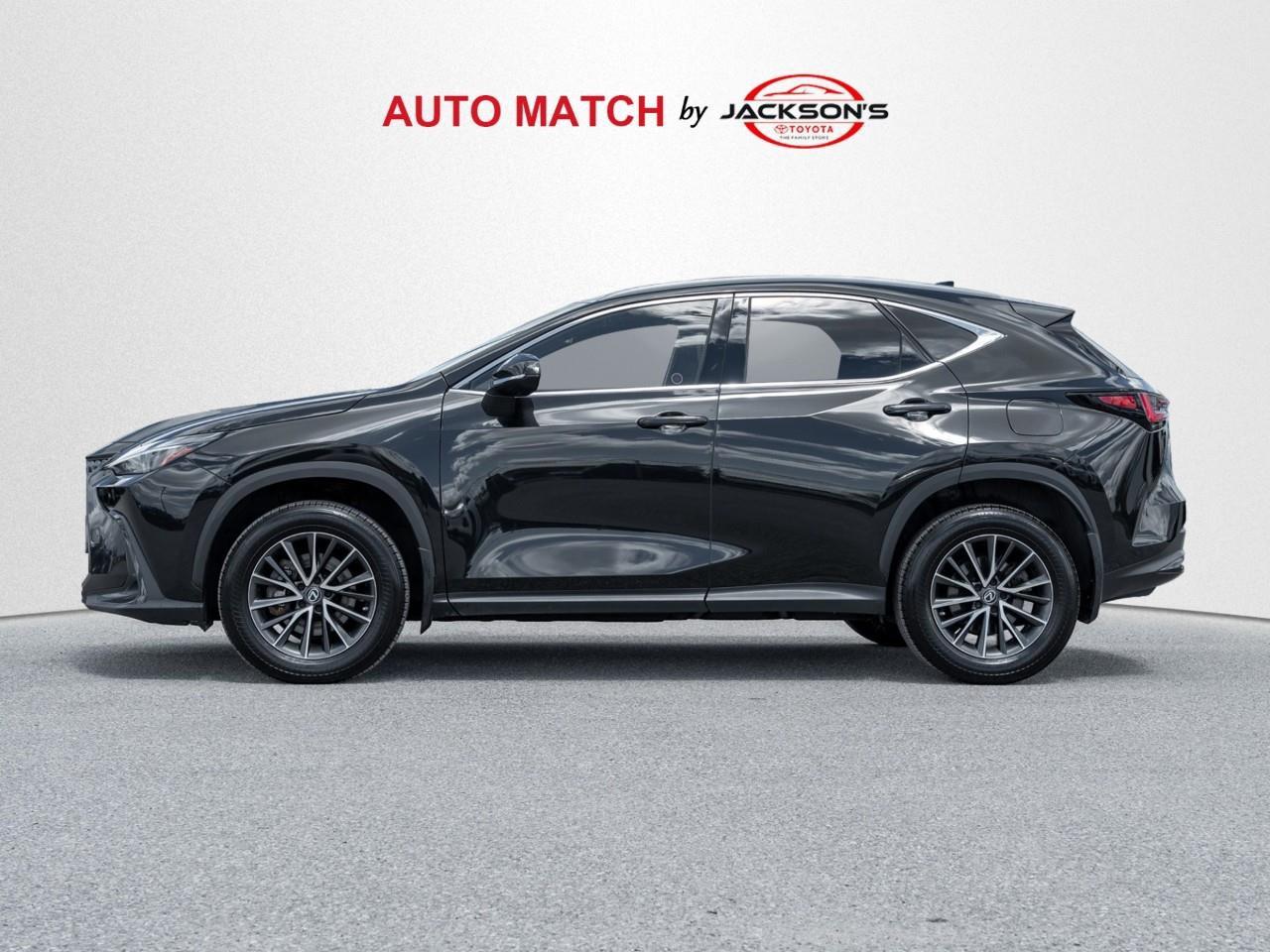 2023 Lexus NX 350h Base 4dr All-Wheel Drive Photo3