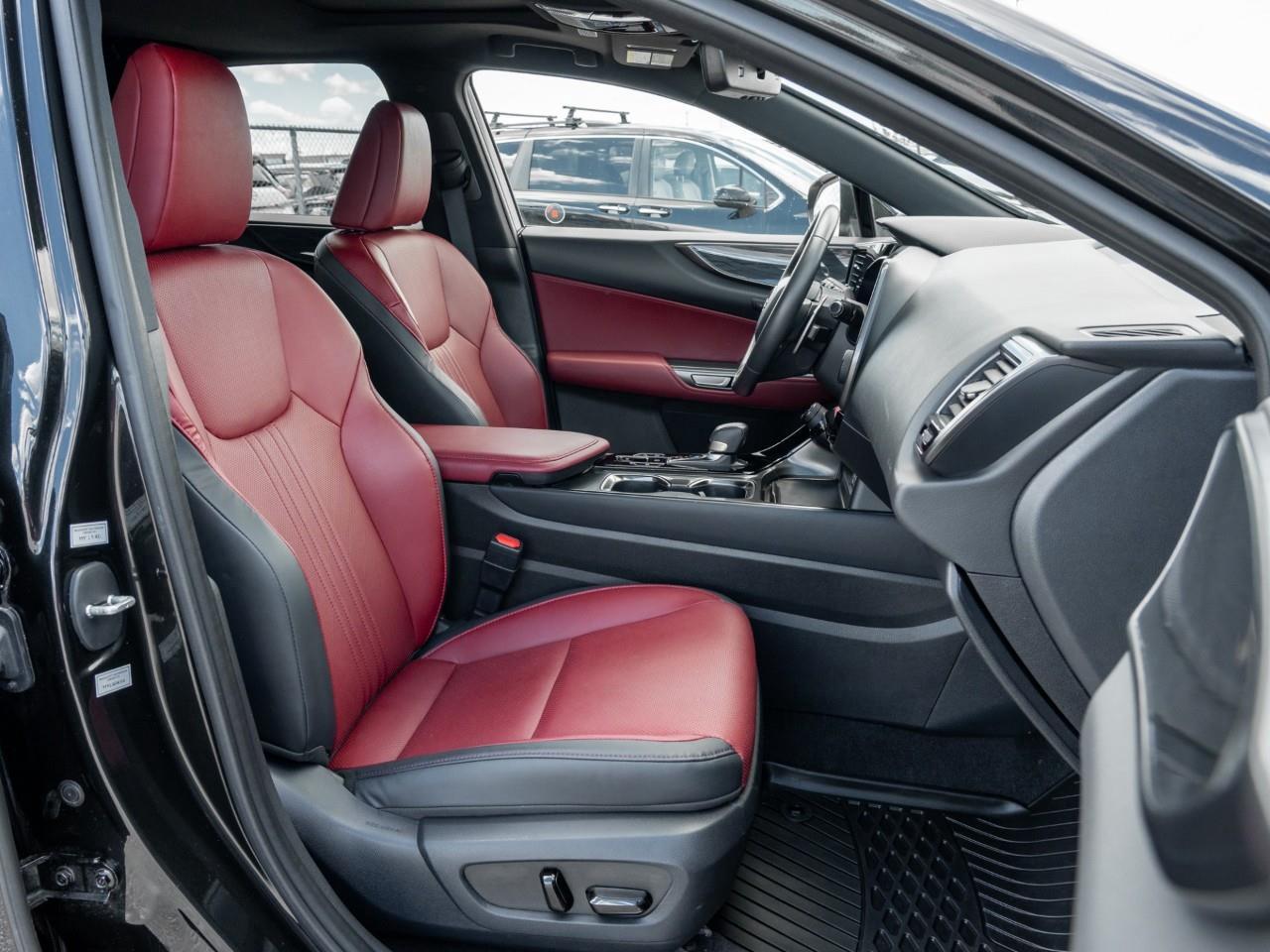 2023 Lexus NX 350h Base 4dr All-Wheel Drive Photo