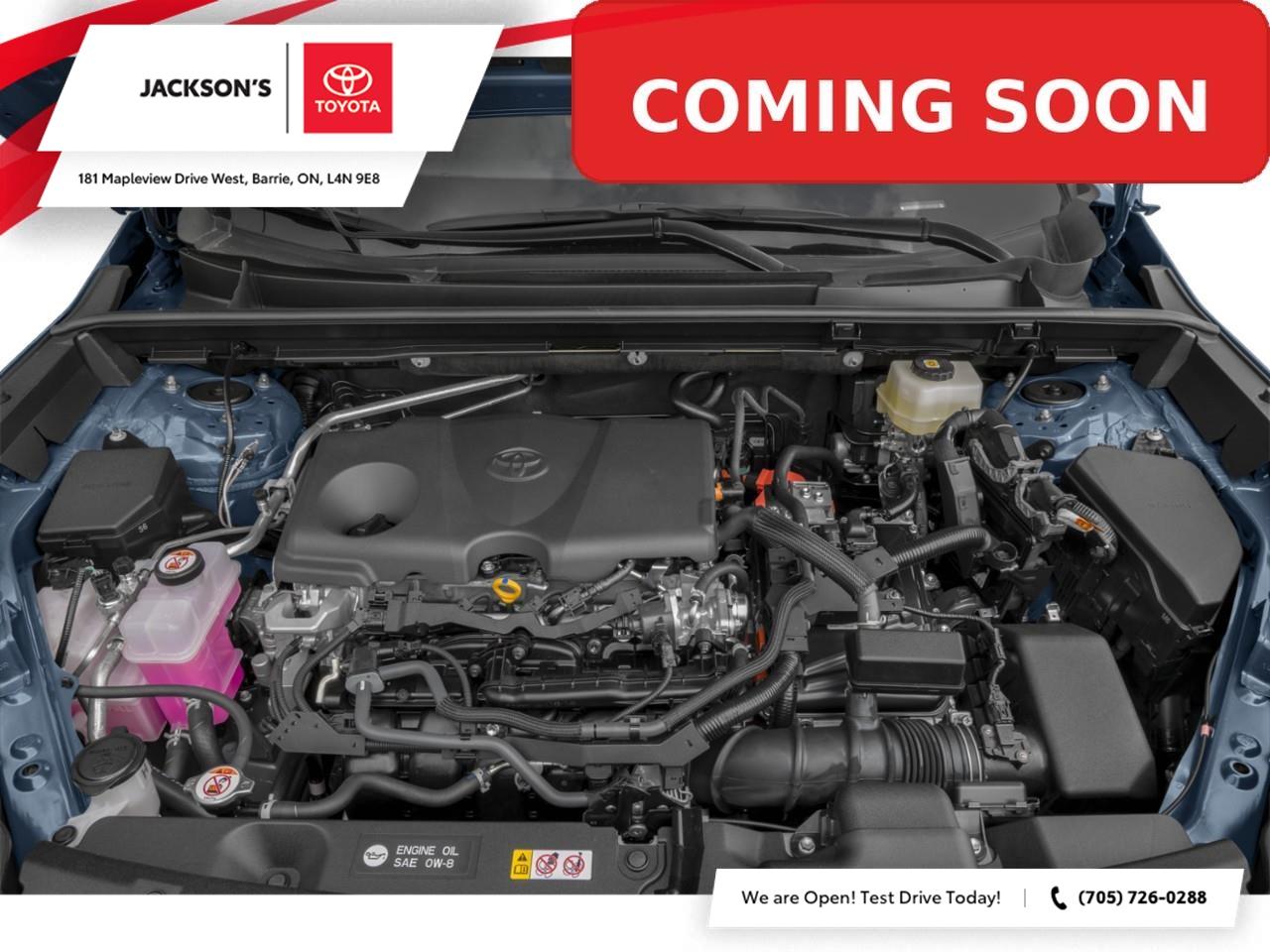 2026 Toyota RAV4 XLE 4dr All-wheel Drive Photo