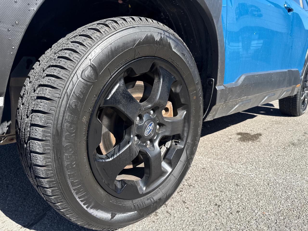 2023 Subaru Forester Wilderness 4dr All-Wheel Drive Photo