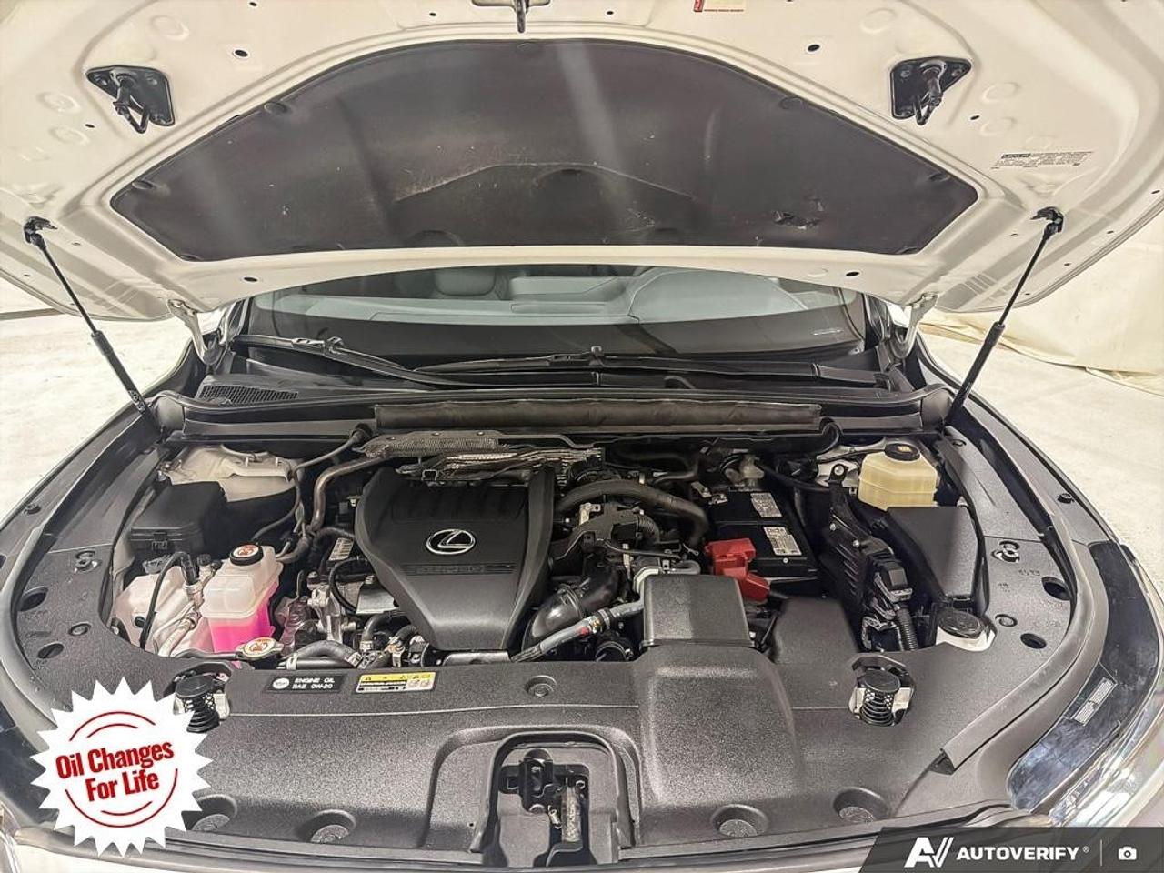 2025 Lexus RX RX 350 Auto Photo