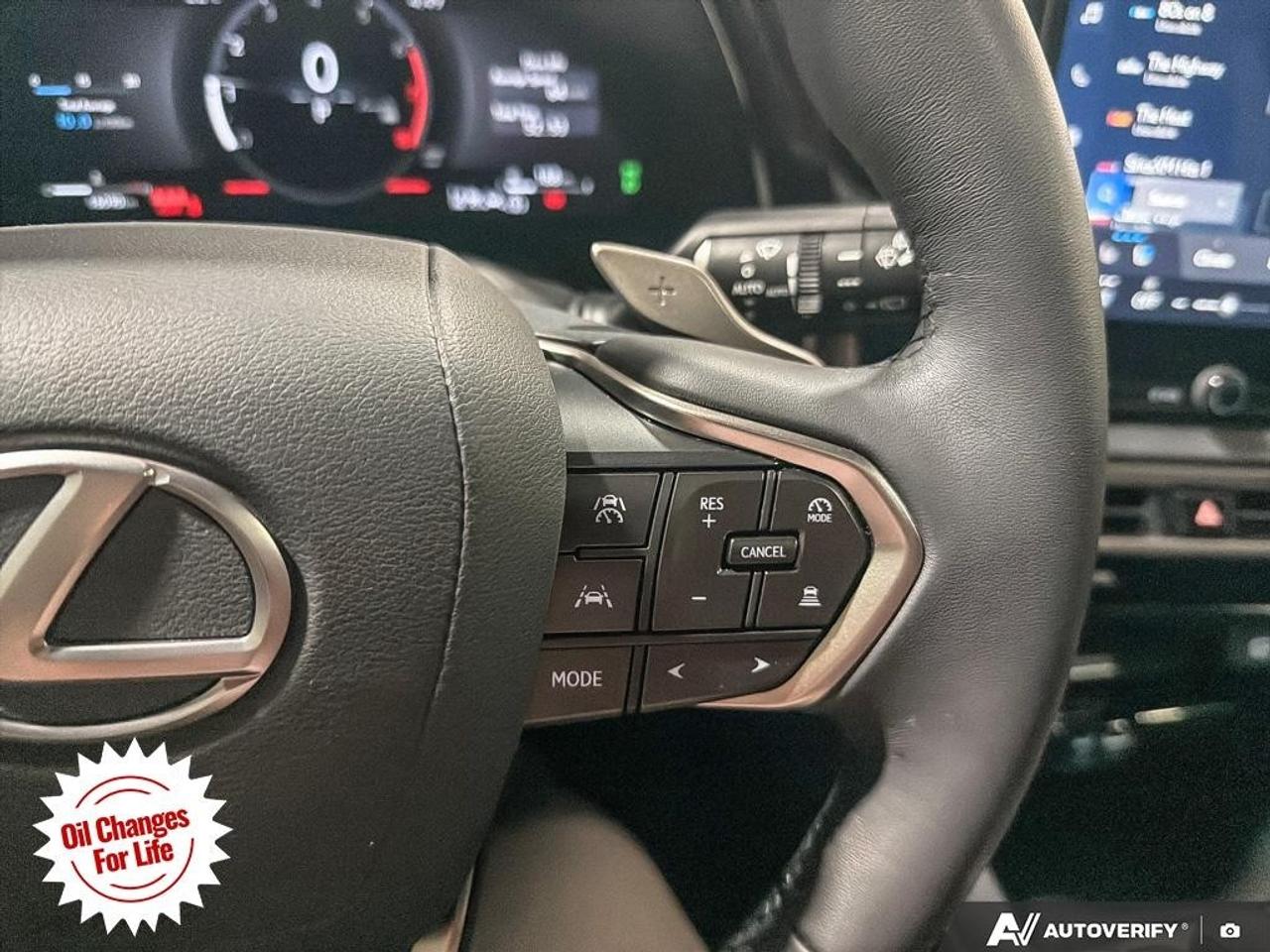 2025 Lexus RX RX 350 Auto Photo