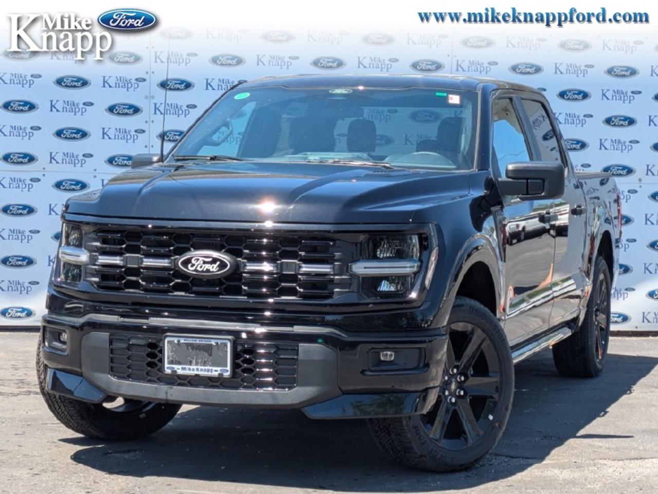 2026 Ford F-150 STX Photo