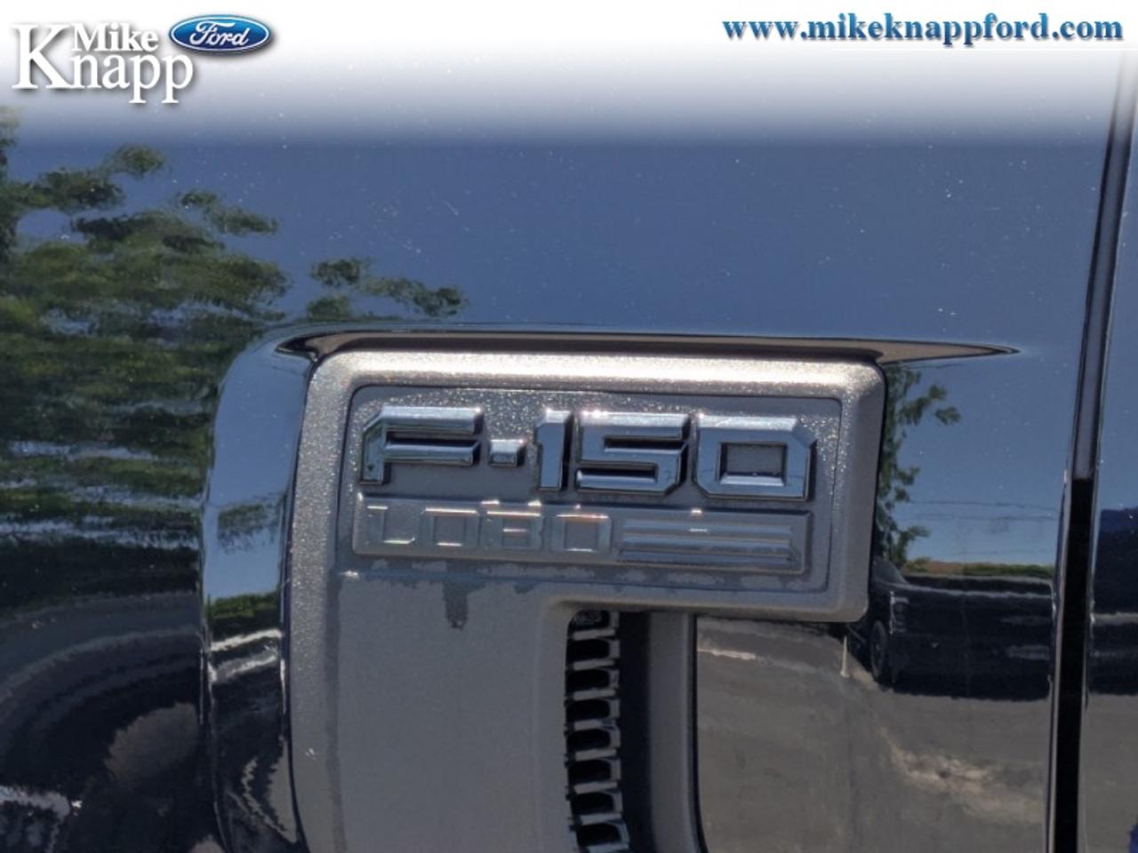 2026 Ford F-150 STX Photo