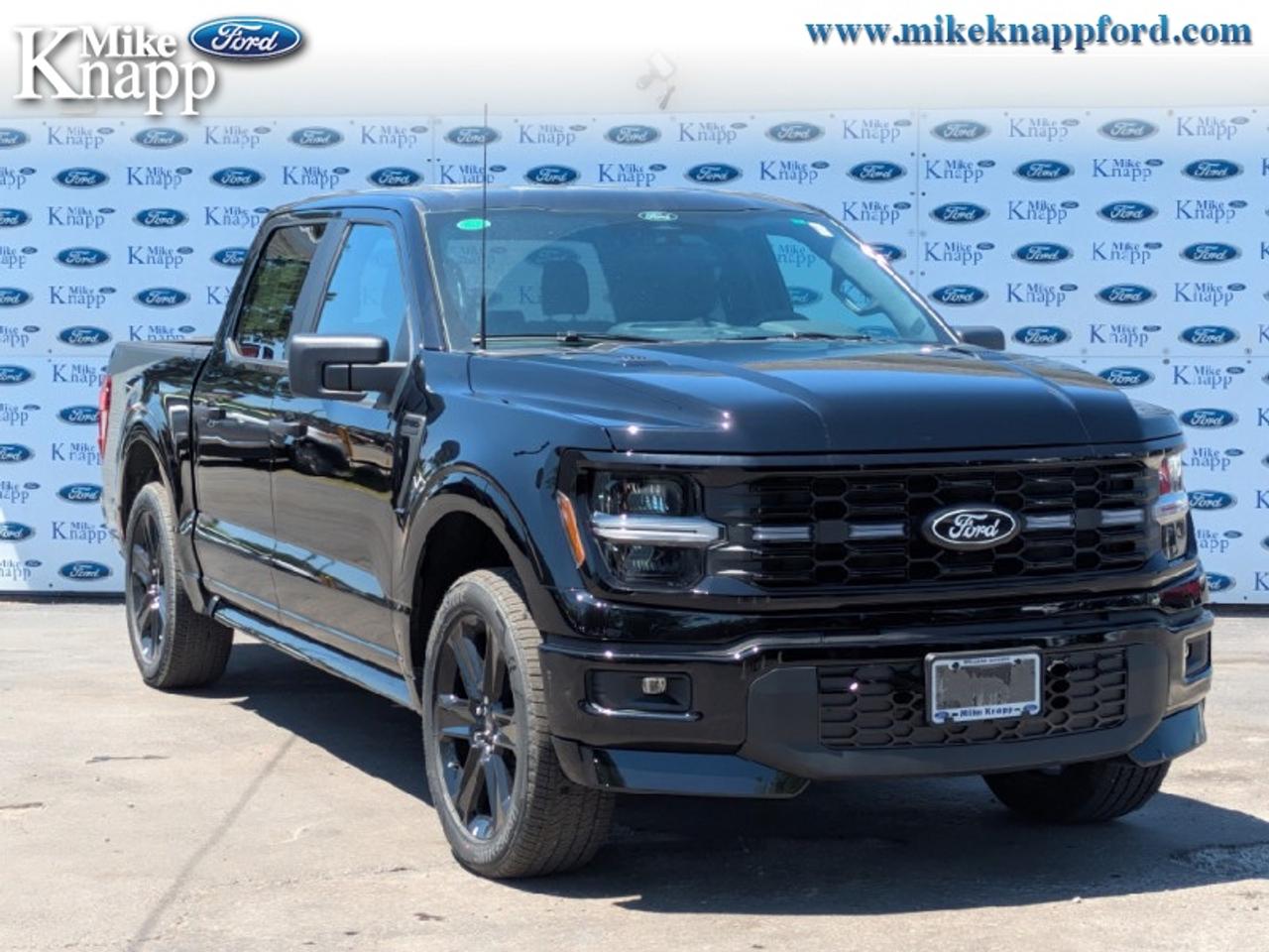 2026 Ford F-150 STX Photo