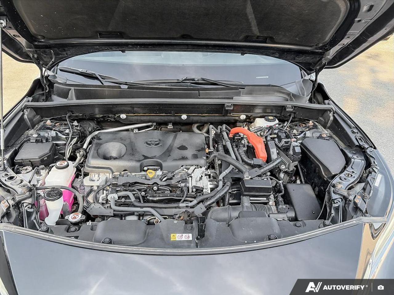 2021 Toyota Venza Limited 4dr All-Wheel Drive Photo