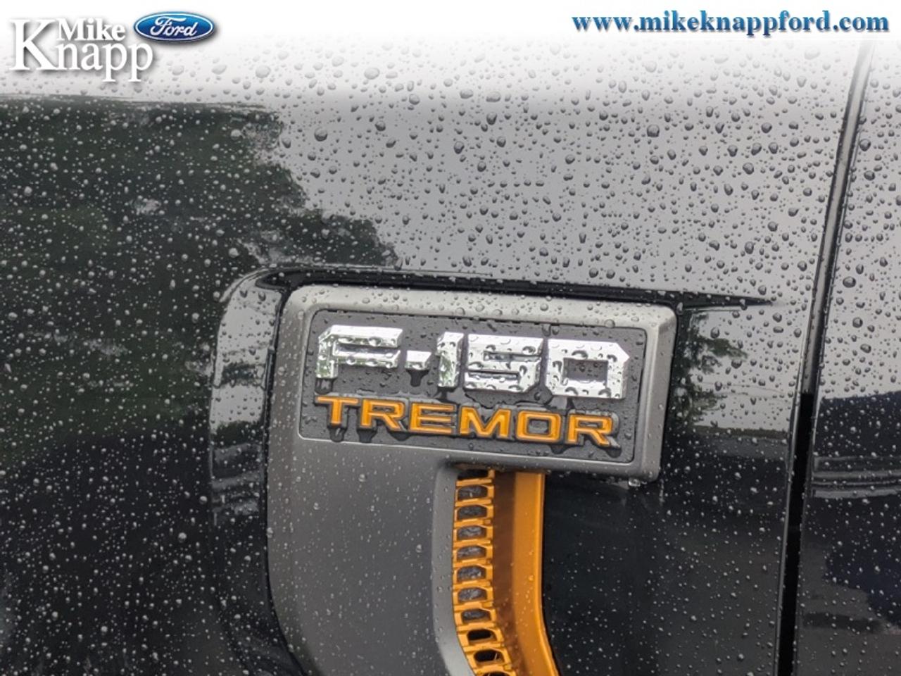 2026 Ford F-150 Tremor Photo