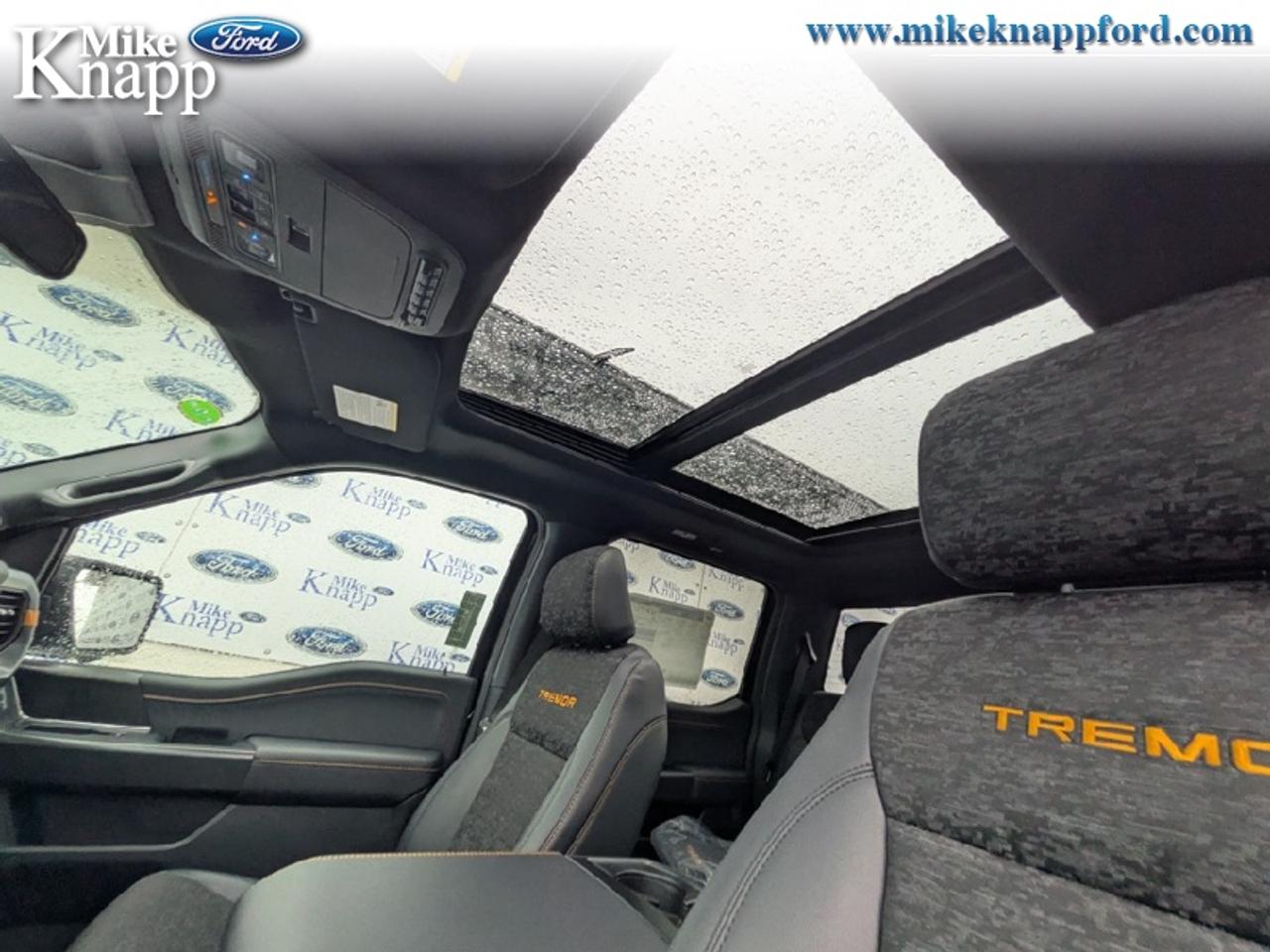 2026 Ford F-150 Tremor Photo