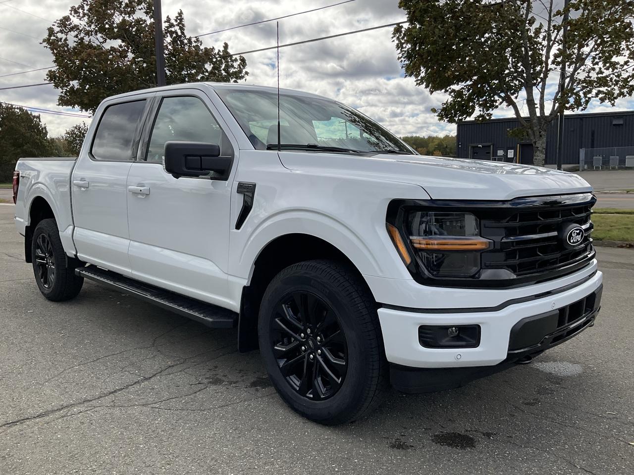 2026 Ford F-150 XLT Photo2