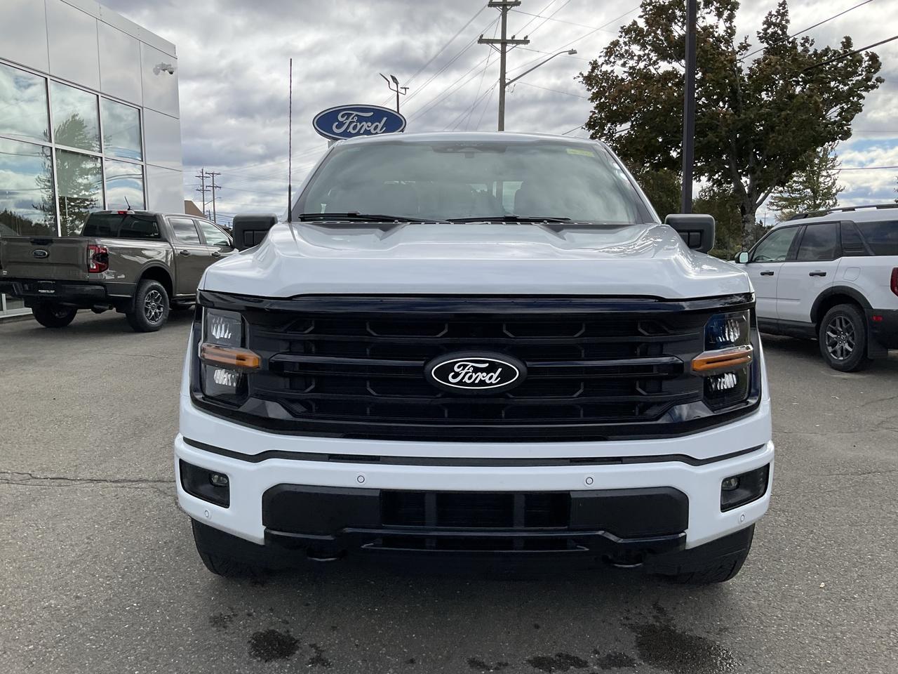 2026 Ford F-150 XLT Photo1