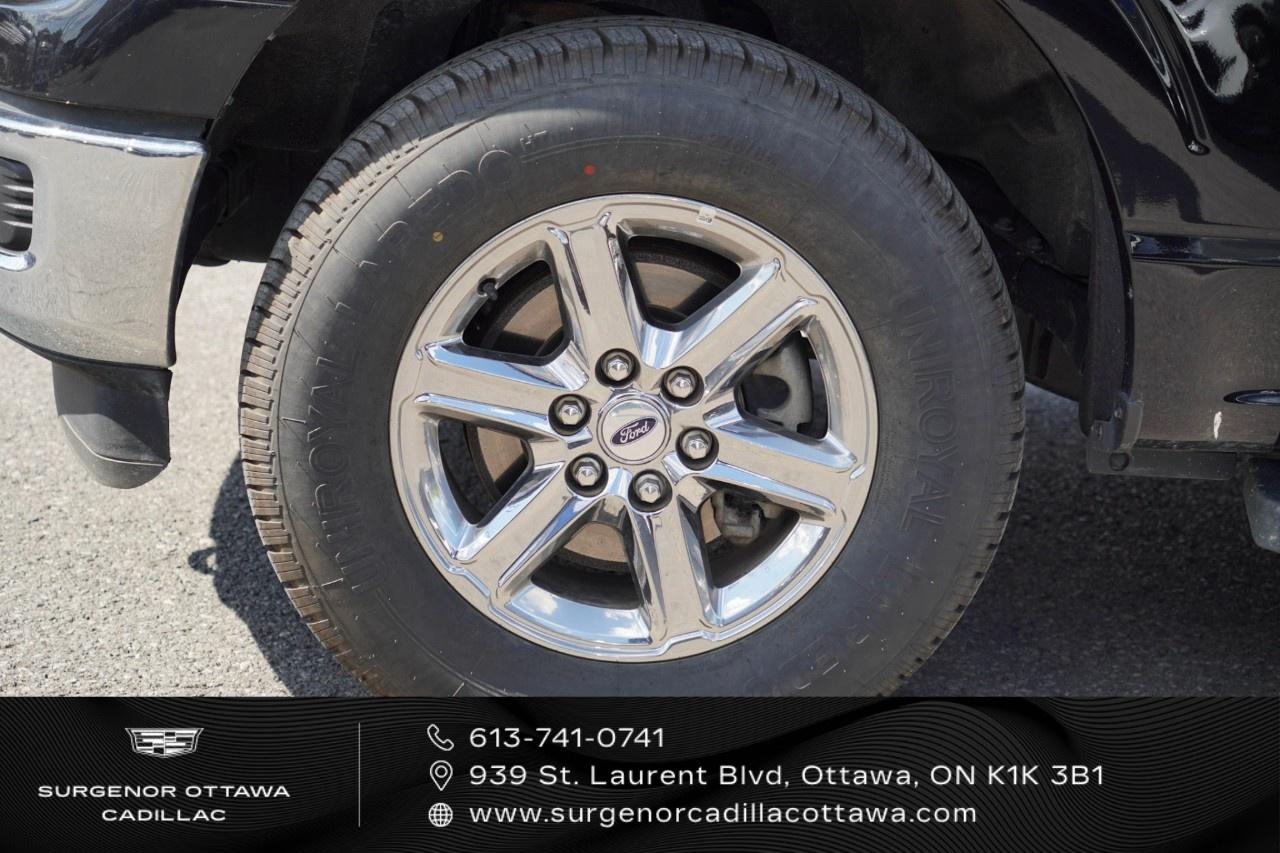 2024 Ford F-150 XLT 4WD SuperCrew 5.5' Box Photo1