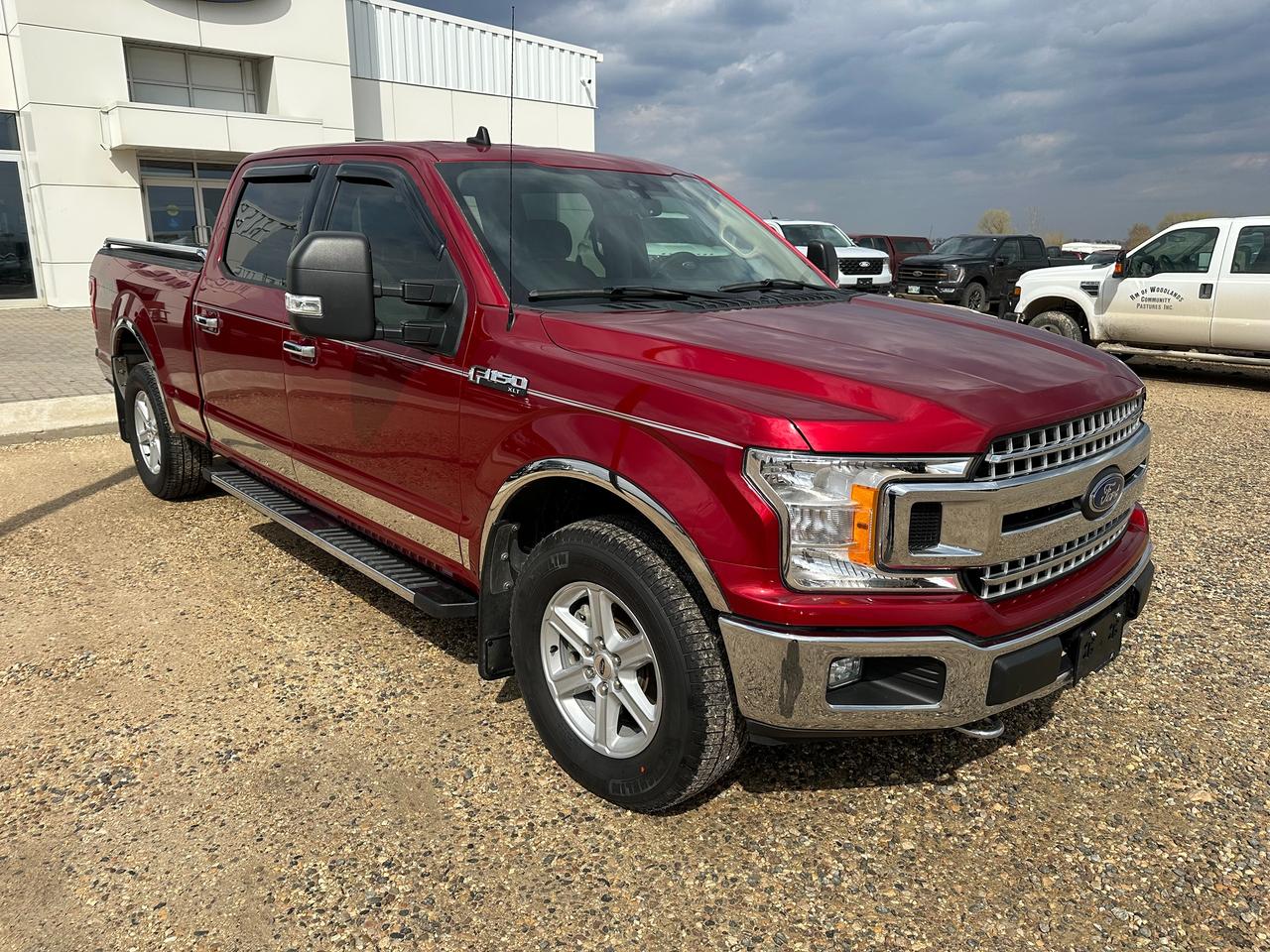 2019 Ford F-150 XLT Photo