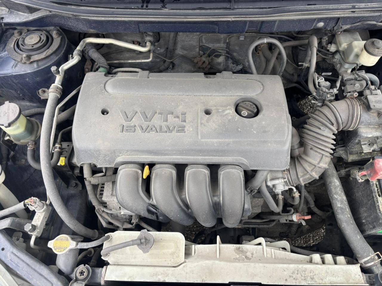 2006 Toyota Matrix 5DR WGN Photo