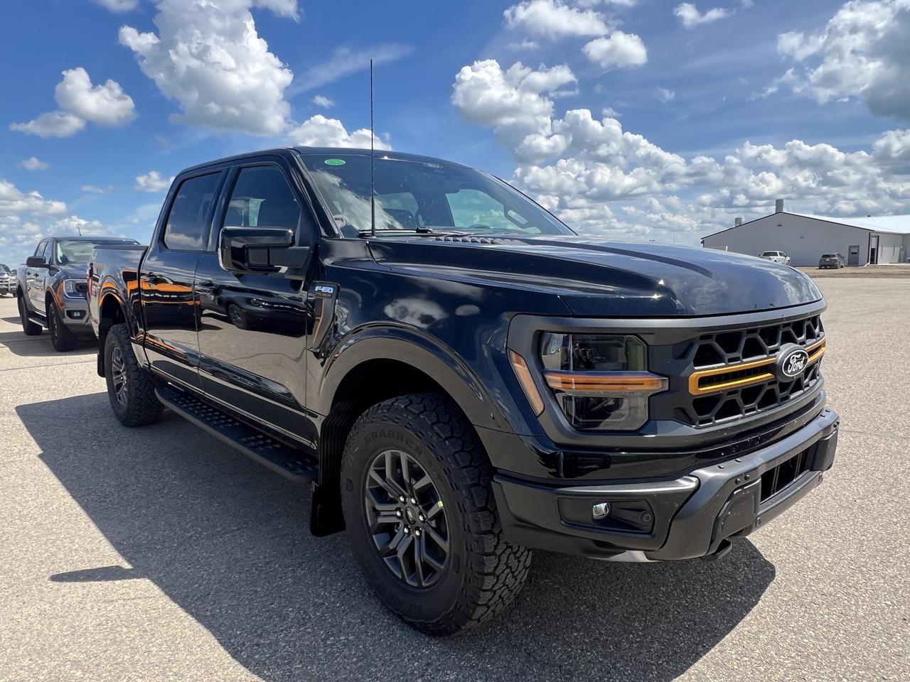 2026 Ford F-150 Tremor Photo0