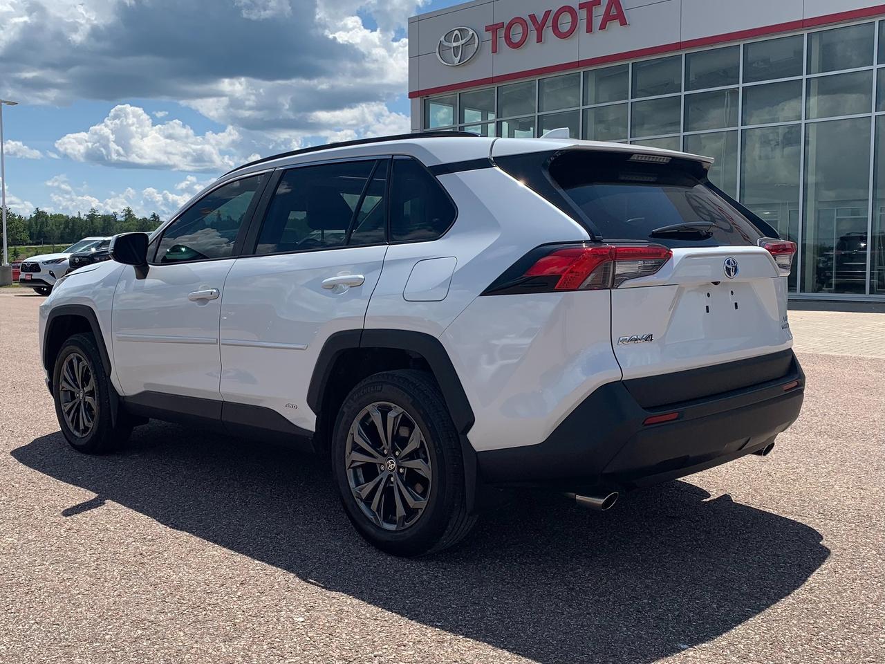 2024 Toyota RAV4 Hybrid XLE Premium Photo