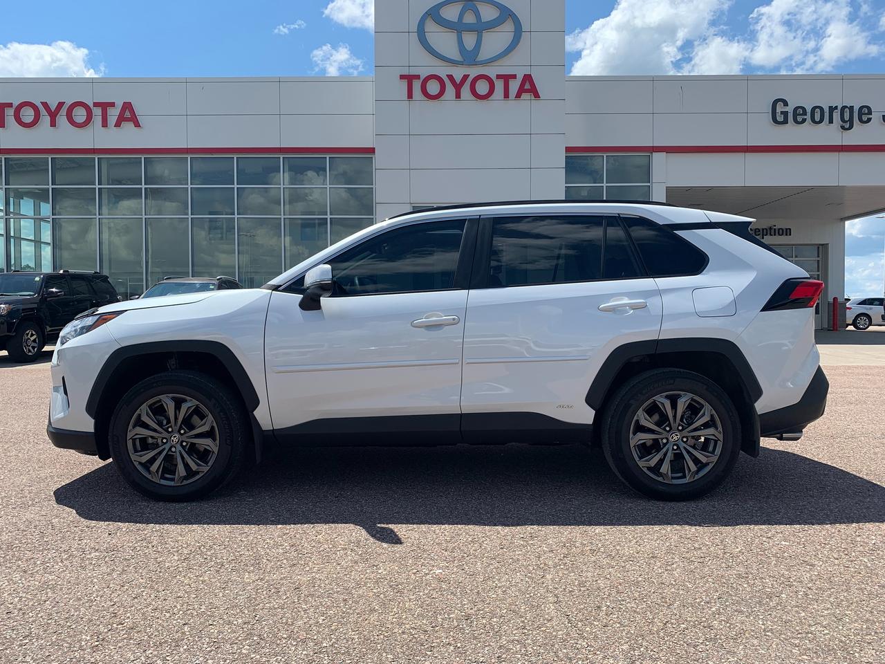 2024 Toyota RAV4 Hybrid XLE Premium Photo