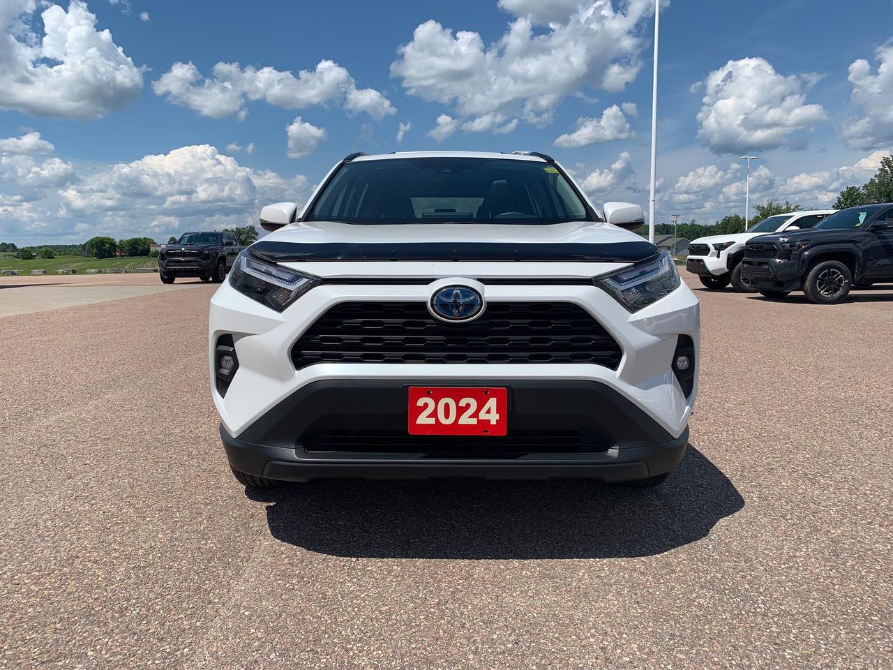 2024 Toyota RAV4 Hybrid XLE Premium Photo