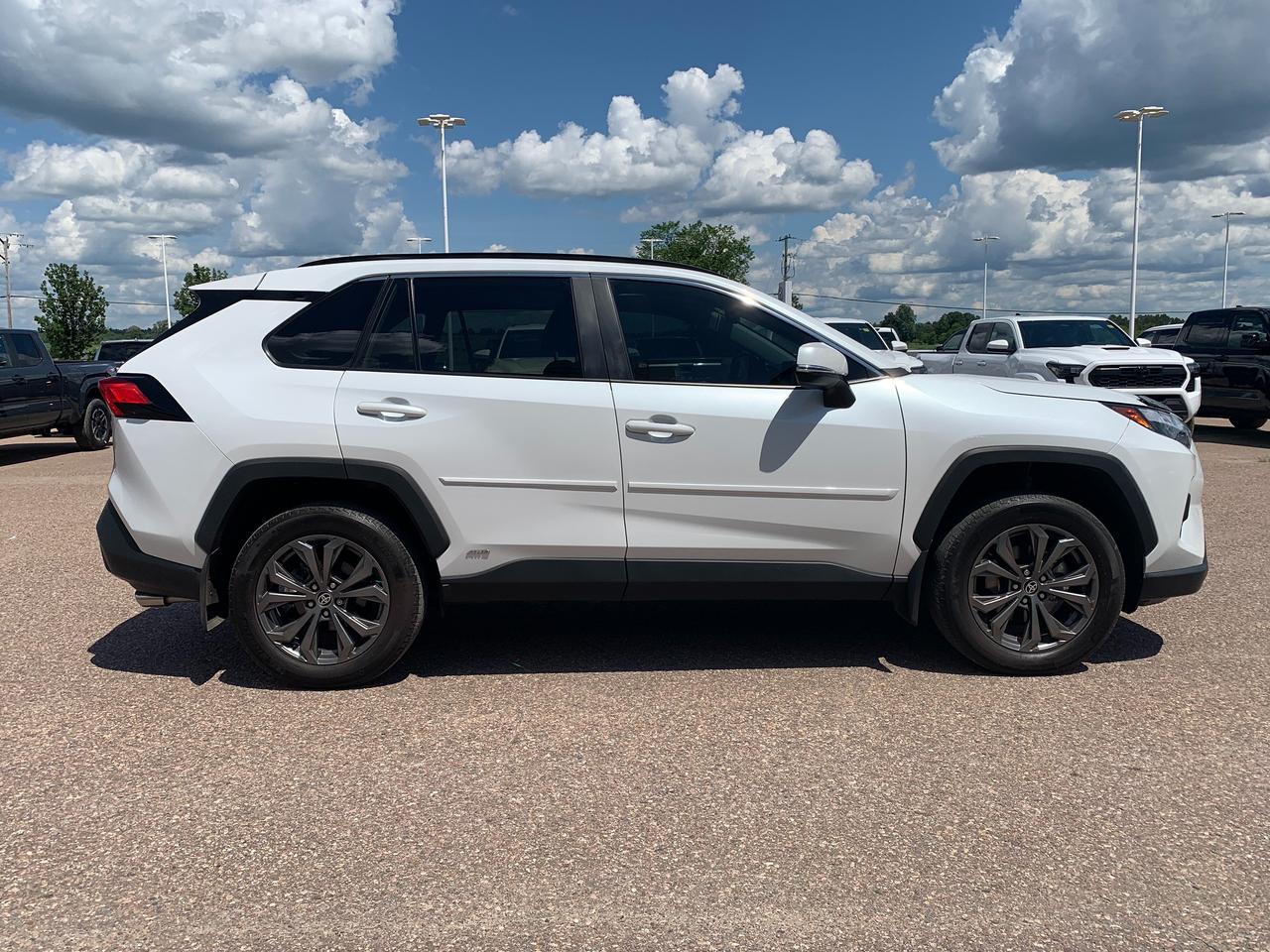 2024 Toyota RAV4 Hybrid XLE Premium Photo