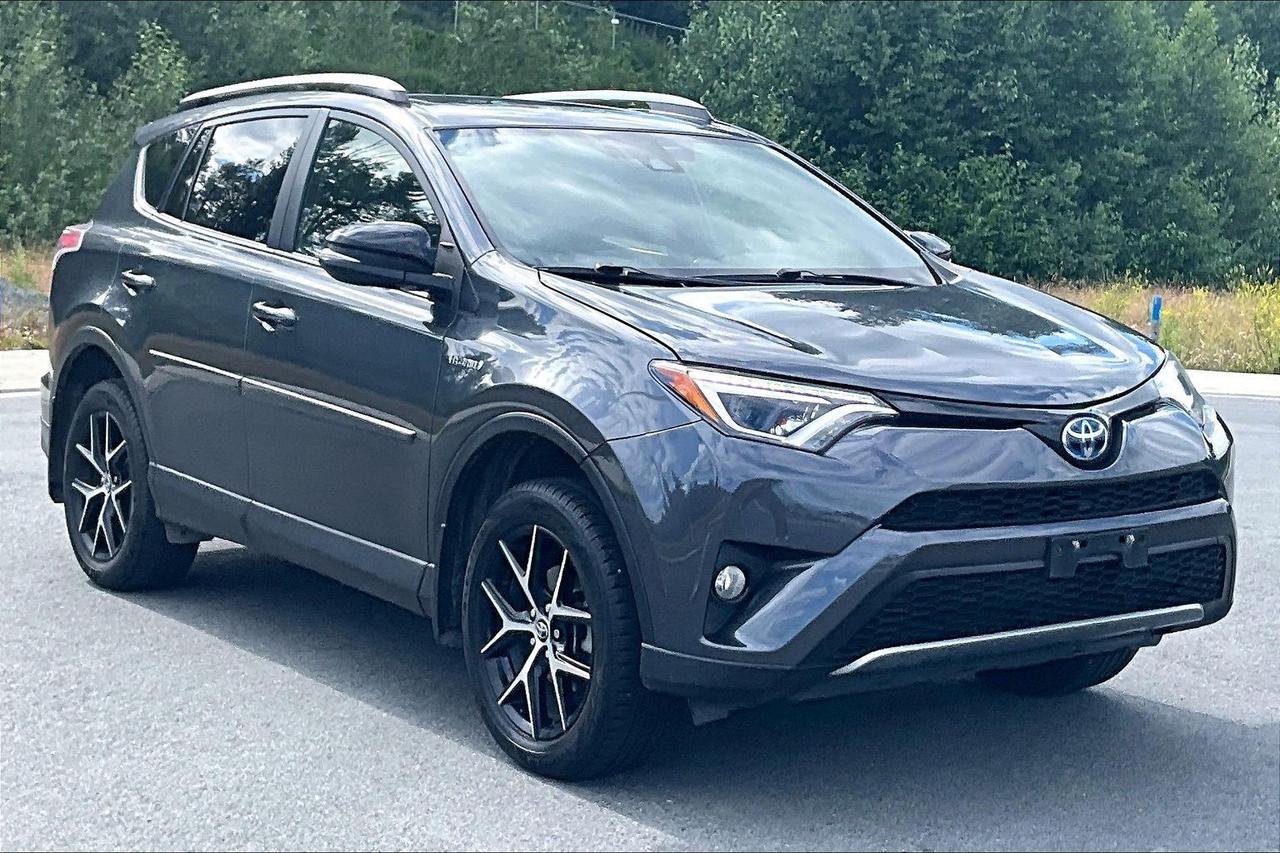 Used 2018 Toyota RAV4 Hybrid SE for sale in Abbotsford, BC