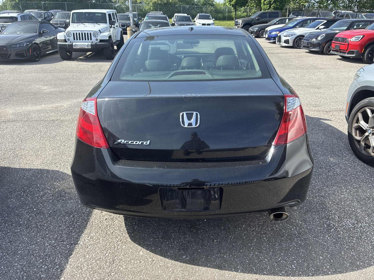 2010 Honda Accord EX-L - AUTO, LEATHER, SUNROOF, HEATED SEATS!! Photo7