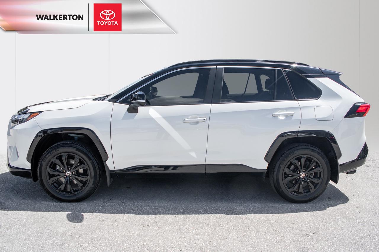 2023 Toyota RAV4 Hybrid XSE 4dr All-Wheel Drive Photo