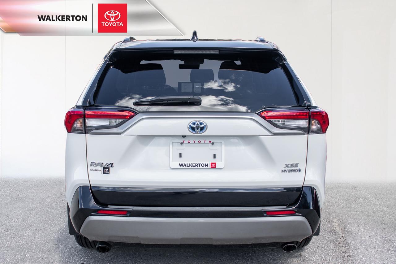 2023 Toyota RAV4 Hybrid XSE 4dr All-Wheel Drive Photo