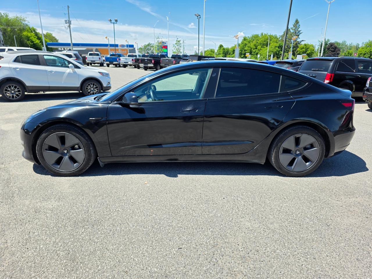 2023 Tesla Model 3 Long Range 4dr All-Wheel Drive Sedan Photo