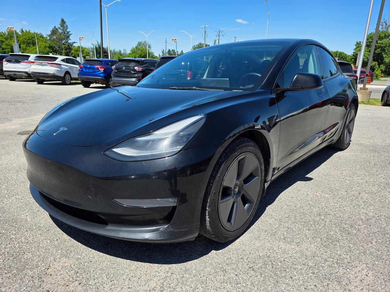 2023 Tesla Model 3 Long Range 4dr All-Wheel Drive Sedan Photo