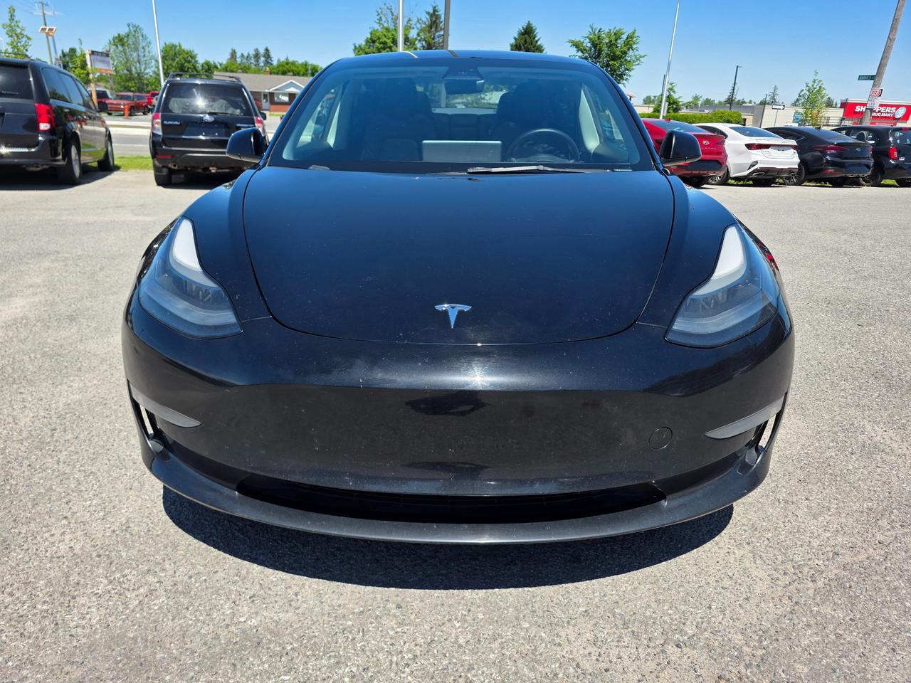 2023 Tesla Model 3 Long Range 4dr All-Wheel Drive Sedan Photo